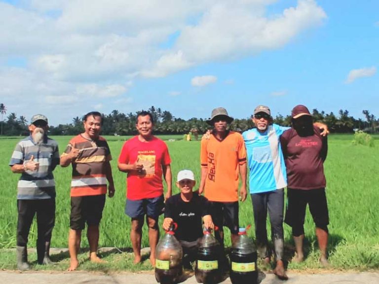 Kade Sudiana Usulkan Bank Tani Berbasis Subak Selamatkan Petani Bali dari Jeratan Modal dan Alih Fungsi Lahan yang Harus Anda Ketahui